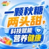 金秋南京，第115届秋季糖酒会，诚邀食饮同仁，共谋新局
