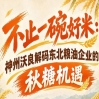 南京秋糖市场新洞察 神州沃良剖析东北粮油行业增长趋势